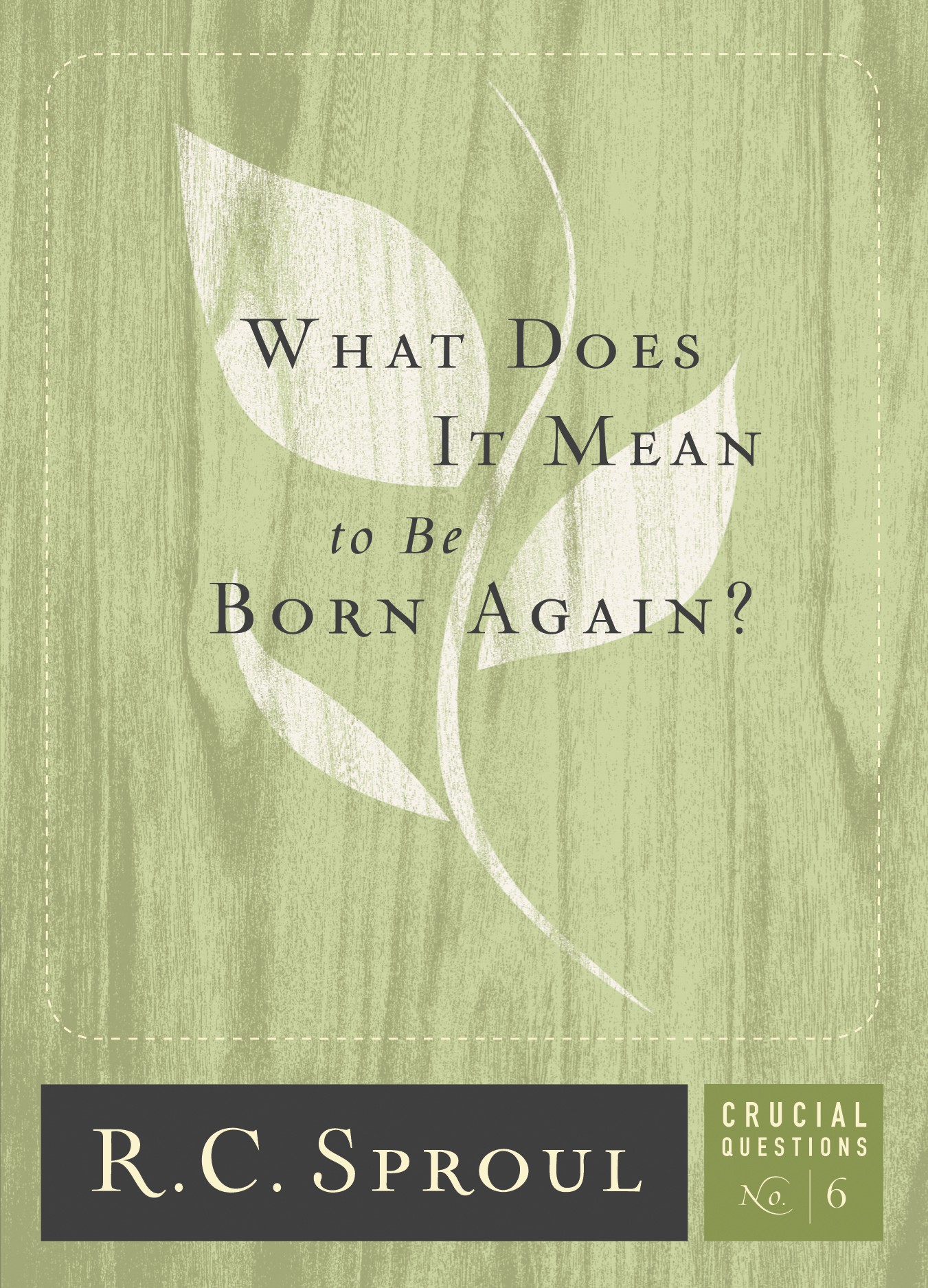 What Does It Mean to Be Born Again?