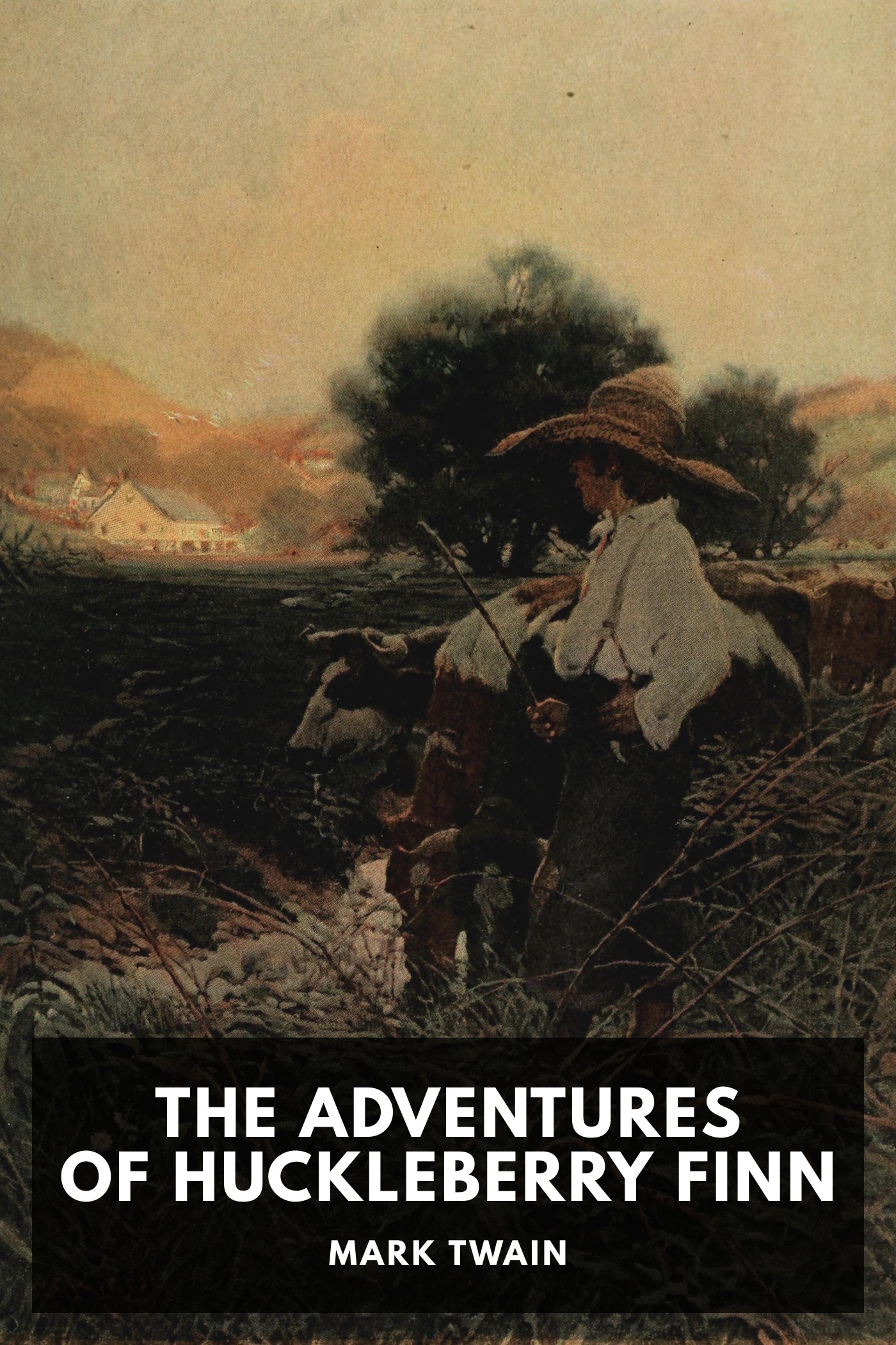 The Adventures of Huckleberry Finn