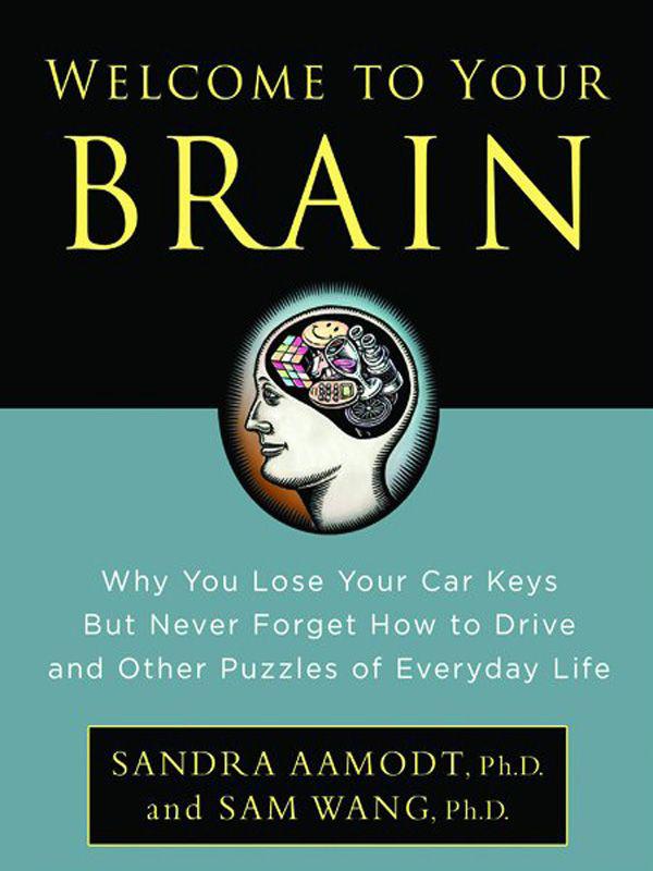 Welcome to Your Brain: Why You Lose Your Car Keys but Never Forget How to Drive and Other Puzzles of Everyday Life