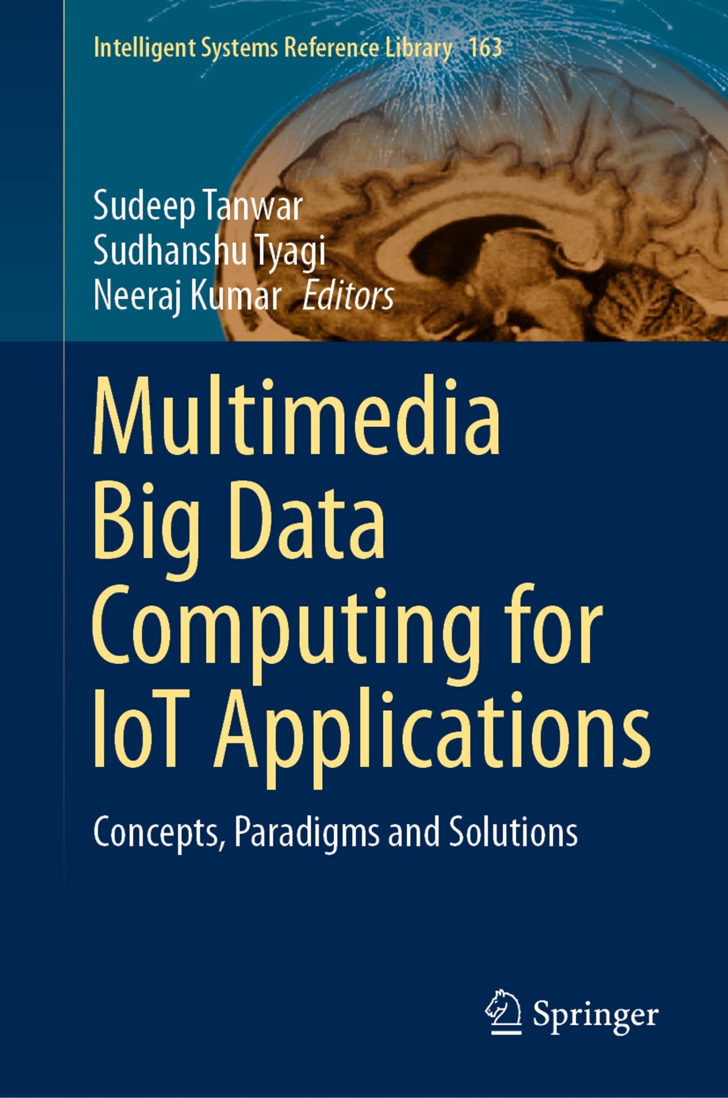 Multimedia Big Data Computing for IoT Applications: Concepts, Paradigms,and Solutions