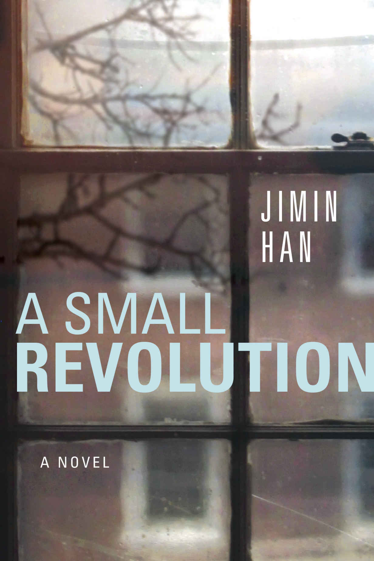 A Small Revolution